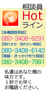 �e�풲���A�ʂꂳ���H��z�b�g���C��